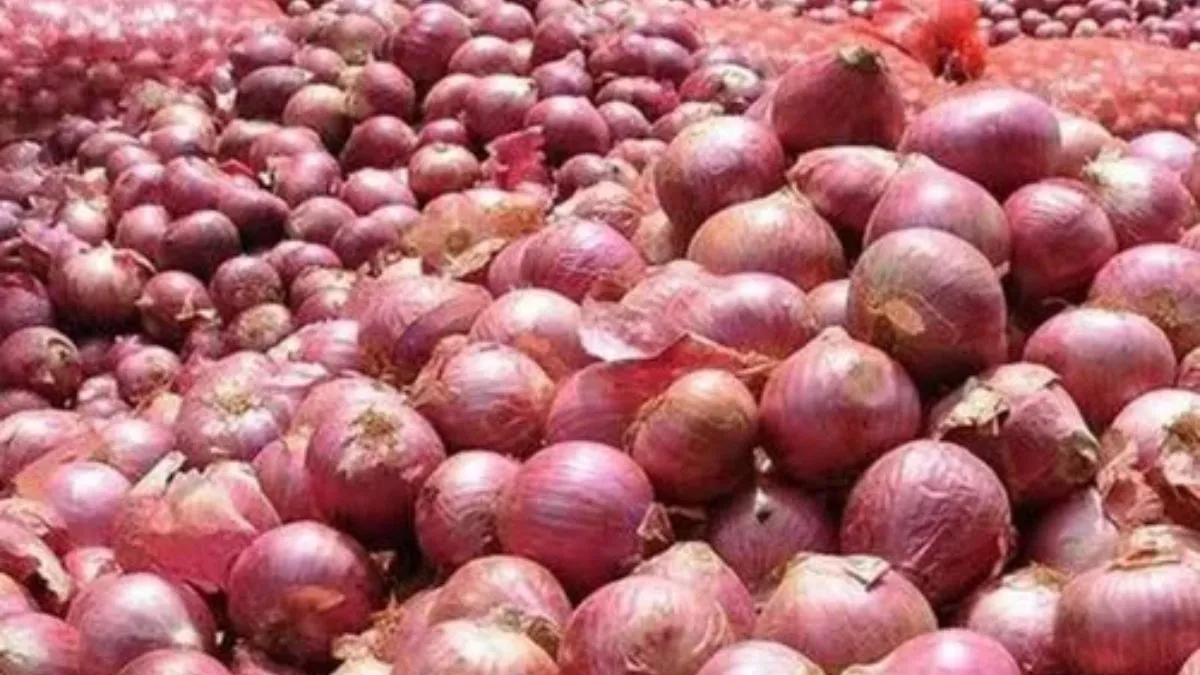 स्टॉक बढ़ाकर प्याज की महंगाई रोकने की तैयारी, सरकार ने बढ़ाया खरीद मूल्य