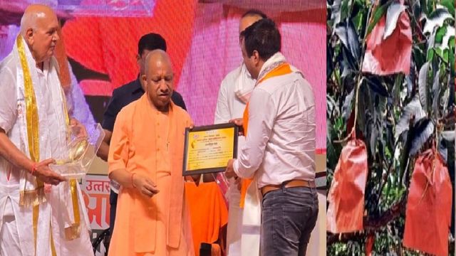 क्या होता है फ्रूट बैग, जिसका इस्तेमाल कर मेरठ के बागवान ने बढ़ाई आम की गुणवत्ता; मुख्यमंत्री ने किया सम्मानित