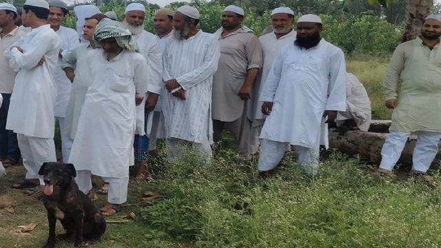 हिंदू हो या मुस्लिम सबकी अंतिम यात्रा में शामिल होता है यह आवारा कुत्ता, सहारनपुर में बना कौतूहल का केंद्र