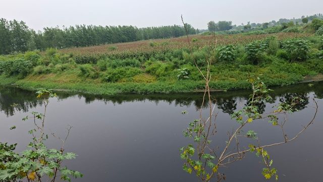 हाथरस की काली नदी पर छाया संकट, अतिक्रमण और अनदेखी से अस्तित्व पर खतरा, सिंचाई और भूजल स्तर प्रभावित