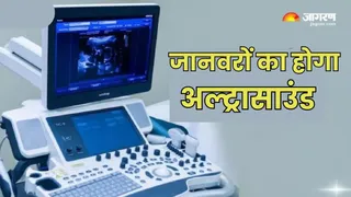 अब पशुओं की गंभीर चोटों और आंतरिक बीमारियों की पहचान संभव हो सकेगी। फाइल फोटो