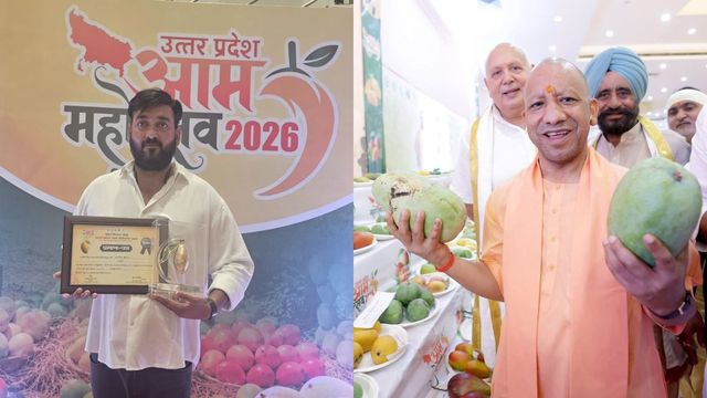 लखनऊ के आम महोत्सव में बस्ती के अमरडोभा के आम को मिला पुरस्कार, CM योगी ने की थी सराहना
