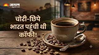 कॉफी का अनोखा इतिहास: शैतानी फल से भारत के 'फेवरेट ड्रिंक' बनने का सफर (Image Source: AI-Generated)
