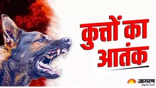 खेत में सो रही थी बच्ची।