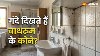 बार-बार आ जाते हैं बाथरूम में जाले? (Image Source: AI-Generated)