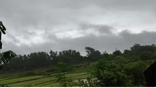 ईचागढ़ प्रखंड क्षेत्र में मानसून के आगाज के साथ ही मौसम का मिजाज पूरी तरह बदल गया है।