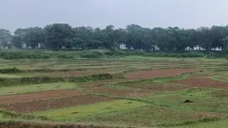 हजारीबाग में धान उगाने के लिए तैयार किए जा रहे खेत।