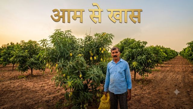 हजारीबाग में 'आम' ने रसोइया को बनाया खास, मनरेगा की मदद से बन गए लखपति 
