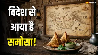 विदेश से भारत आया था समोसा (AI Generated Image)