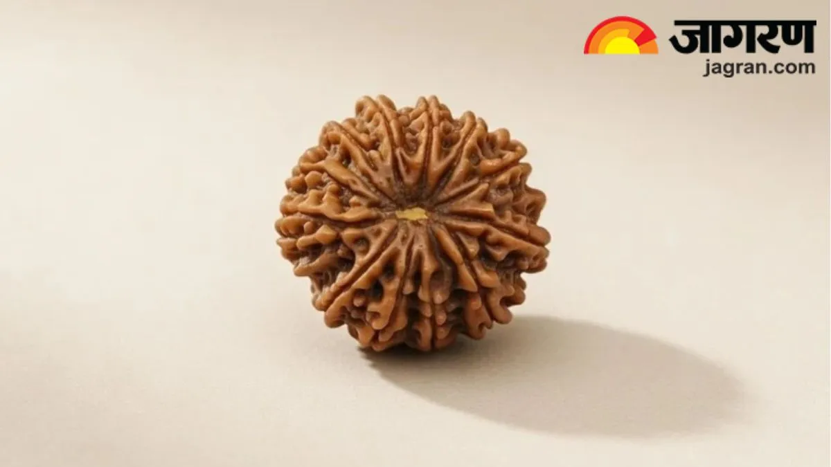 क्यों सबसे ज्यादा प्रभावशाली होता है 13 मुखी रुद्राक्ष? पढ़ें इसके फायदे और पहनने का जानें तरीका