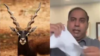 'काला हिरण' फिल्म प्रोड्यूसर अमित जानी को मिली धमकी।