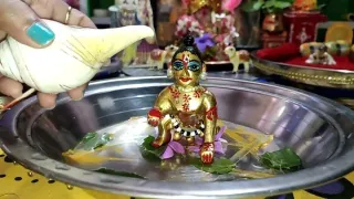 योगिनी एकादशी पर लड्डू गोपाल का करें मनमोहक मोहिनी श्रृंगार (Picture Credit- Shutterstock)