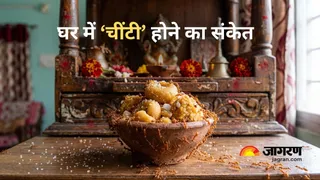 घर में लाल चींटियों का होना धन हानि का कारण होता है। (Picture Credit- AI Generated)