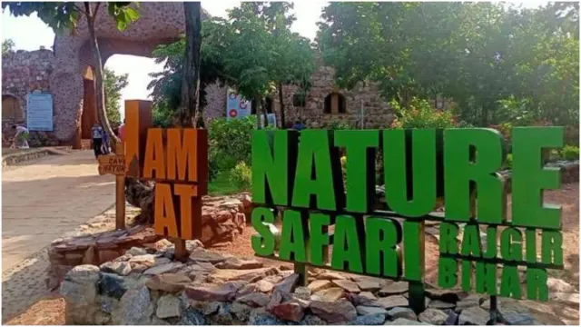 राजगीर जू सफारी में अब यात्रा के दिन ही होगी ऑनलाइन टिकट बुकिंग, शुरू हुई रियल-टाइम बुकिंग सुविधा<br/>