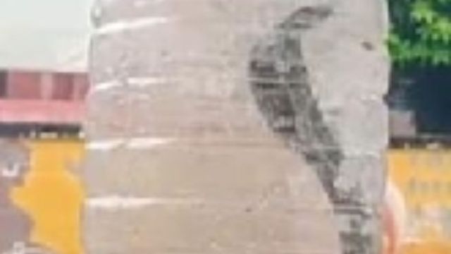 फिरोजाबाद में सांप ने दुकानदार को डसा, परिवार के लोग डिब्बे में बंद कर ले पहुंचे अस्पताल; देखने को जुटी भीड़
