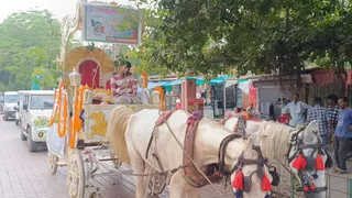 बग्घी में सवार दुल्हन नीम और दुल्हा बरगद। जागरण