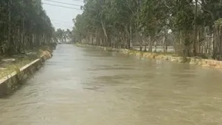 झज्जर सहित पांच जिलों की नहरों का बिगड़ा शेड्यूल (फाइल फोटो)