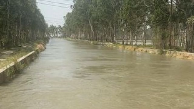 हरियाणा के भिवानी में नहर टूटी, झज्जर सहित पांच जिलों की नहरों का बिगड़ा शेड्यूल
