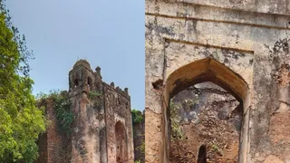 पलामू टाइगर रिजर्व में अब बिना गाइड पर्यटकों के प्रवेश पर रोक