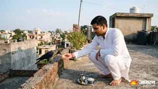 श्राद्ध पक्ष में कौवों को भोजन कराने का महत्व और धार्मिक कारण (Picture Credit:AI Generated)
