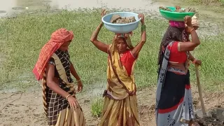 सांकेतिक तस्वीर