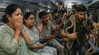 दीक्षाभूमि एक्सप्रेस में कुछ लोगों के 15-20 सांपों के साथ चढ़ने से दहशत में रहे यात्री। (एआइ फोटो)