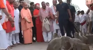 मुख्यमंत्री ने रास्ते में मिलने वाले बंदरों को अपने हाथों से भोजन कराया। फोटो- वीडियो ग्रैब