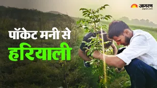 पौधा लगाते अनिमेष