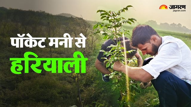 पढ़ाई दिल्ली में, दिल गांव के लिए... पॉकेट मनी से लिख दी बिहार के अनिमेष ने हरियाली की नई कहानी
