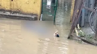 ट्रांसफार्मर में उतरा करंट, चौकीदार की मौत। जागरण