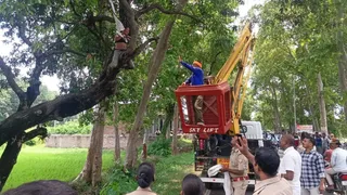 पेड़ पर चढ़ी नेपाली युवती ने दी आत्महत्या की धमकी।