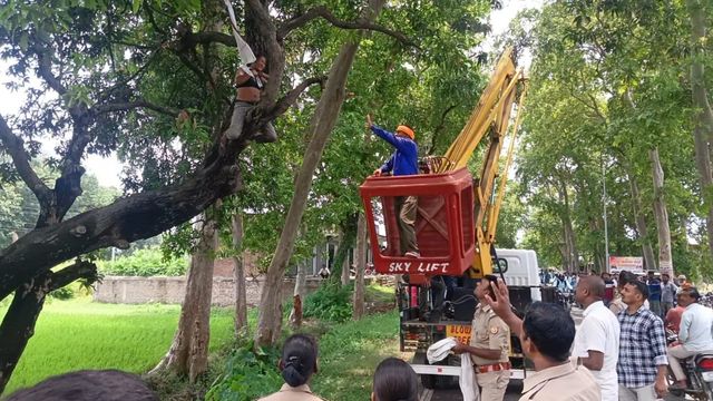 महराजगंज में नेपाली युवती ने पेड़ पर चढ़कर दी सुसाइड करने की धमकी, स्काई लिफ्टर से उतारा गया नीचे
