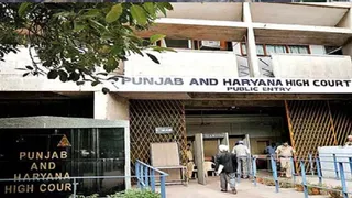 पंजाब-हरियाणा हाई कोर्ट फाइल फोटो