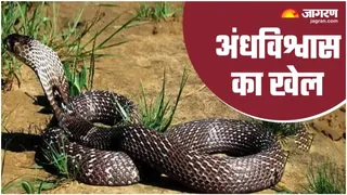 प्रतीकात्मक फोटो