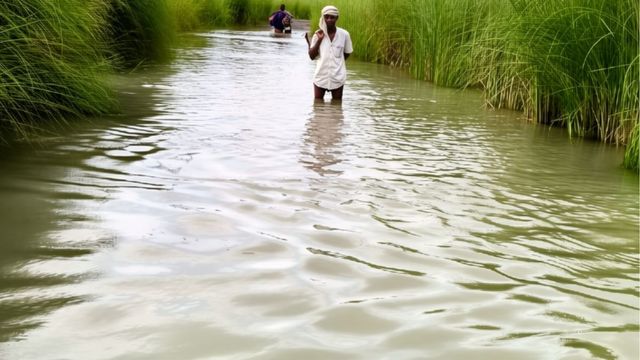 गंडक नदी का जलस्तर बढ़ने से सिसवा मंगलपुर व बैसिया समेत पांच गांवों का संपर्क कटा, पश्चिम चंपारण में बढ़ी परेशानी 
