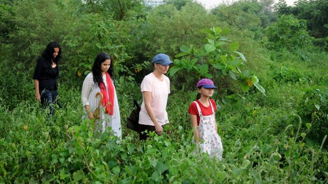 मानसून में अरावली के 10 सीक्रेट स्पॉट बना रहे NCR वालों को दीवाना; दिल्ली के पास छिपे हैं झरने, झील और रहस्यमयी जंगल