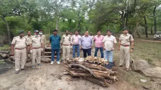 वनकर्मियों ने किया बाघ के अवशेष का अंतिम संस्कार। (सौजन्य- वन प्रबंधन)