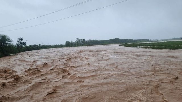हरियाणा में मंडराने लगा बाढ़ का खतरा, 50,675 क्यूसेक पहुंचा हथनीकुंड बैराज का जलप्रवाह; सोम-पथराला भी उफान पर
