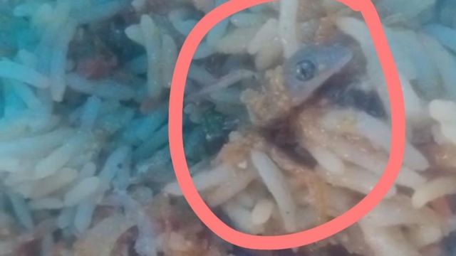 बुलंदशहर में वेज बिरयानी में मिला छिपकली का कटा हुआ सिर, Video Viral
