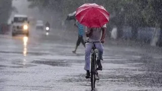 फाइल।
