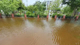 रोहटा रोड स्थित एरा कालोनी में पूर्व क्रिकेटर प्रवीण कुमार के घर के सामने भरा पानी। सौ. स्वयं