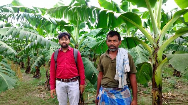 बिहार में किसानों के लिए सुनहरा मौका: केले की खेती पर मिलेगा 40% अनुदान, 15 जुलाई तक करें आवेदन
