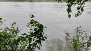 जमालपुर के समीप कोसी नदी का जलप्रवाह। जागरण