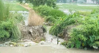 हाटा रजवाहा शाहपुर बेलवा गांव के निकट टूटा रजवाहा। जागरण
