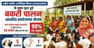 ये फोटो एआई जनरेटेड है।