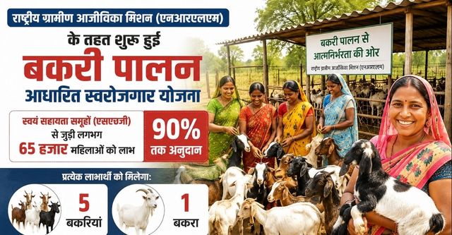 महिलाओं के लिए खुशखबरी! UP में पांच बकरियों पर सरकार देगी 90% सब्सिडी, ऐसे मिलेगा लाभ