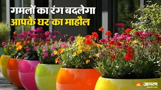 गमलों का रंग बदलेगा घर का माहौल