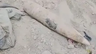 खुदाई के दौरान भारत-पाकिस्तान अंतरराष्ट्रीय के पास गांव के खेत से निकला शेल।