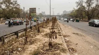 राजधानी दिल्ली में हरियाली बढ़ाने के लिए लोक निर्माण विभाग (PWD) का खर्च 61 करोड़ रुपये बढ़ गया है। इमेज एआई