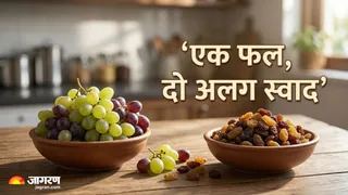 एक ही फल होने पर भी किशमिश, अंगूर से ज्यादा मीठी क्यों लगती है? (Image Source: AI-Generated)